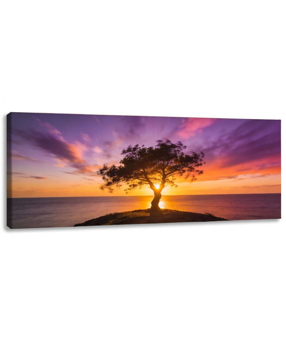 Canvas Schilderij Zonsondergang met Boom op Zee