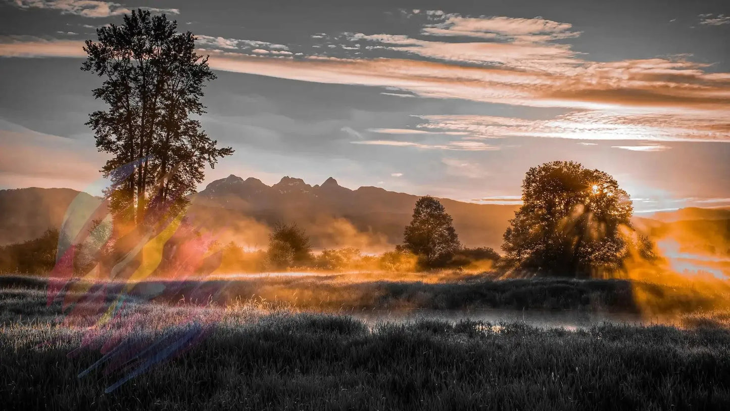Golden Sunrise Landscape - Online Schilderij - Canvas Schilderij
