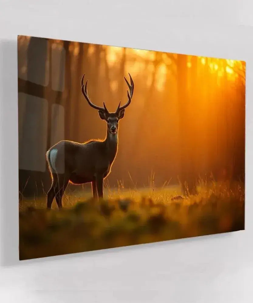 Buck at Sunset - Online Schilderij - Glas Schilderij