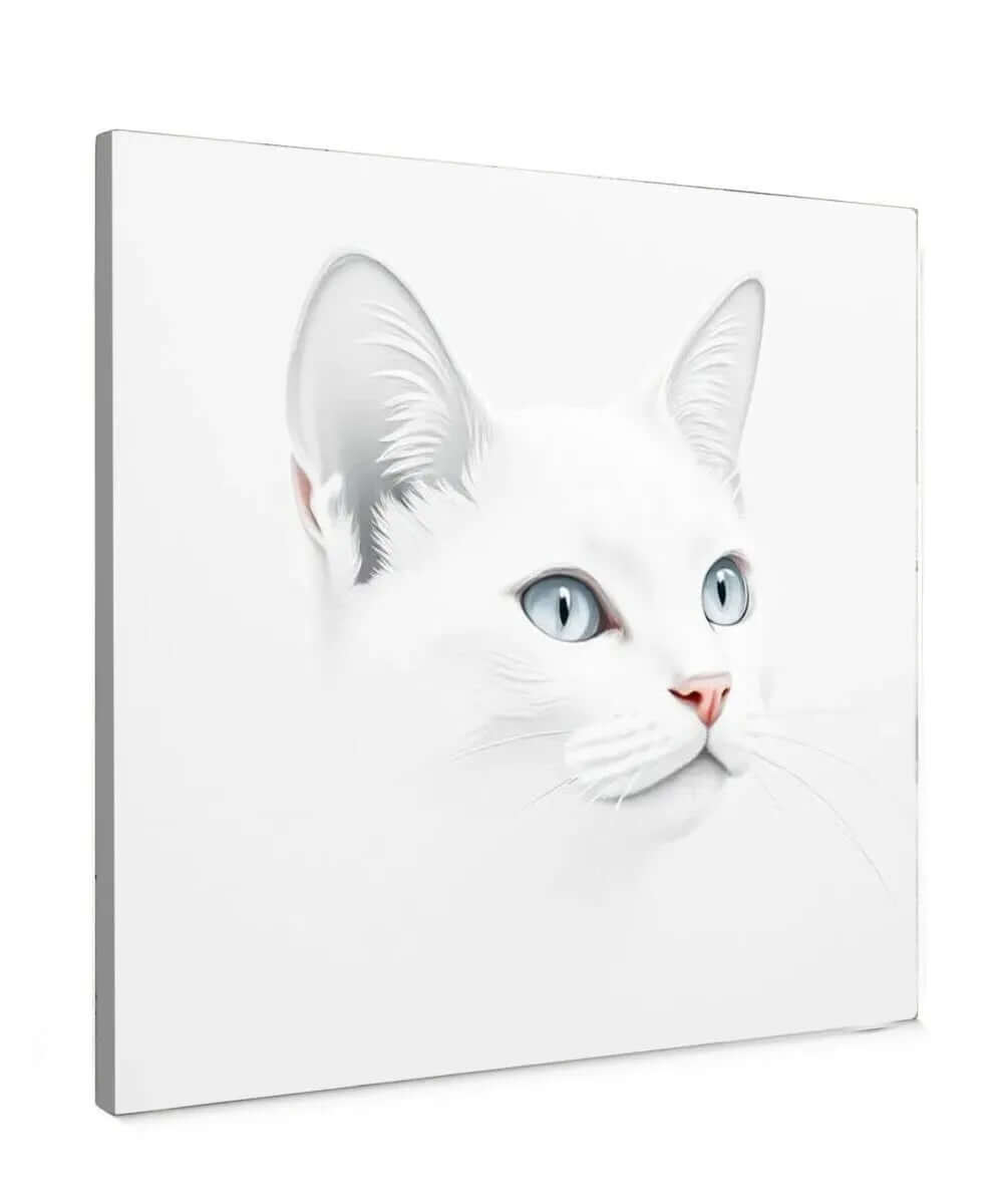 Minimalist White Cat - Online Schilderij - Canvas Schilderij