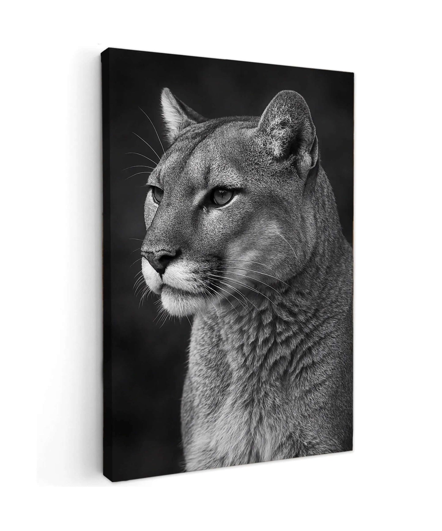 North American Predator - Online Schilderij - Canvas Schilderij