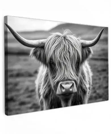 Scottish Highland Cow - Online Schilderij - Canvas Schilderij