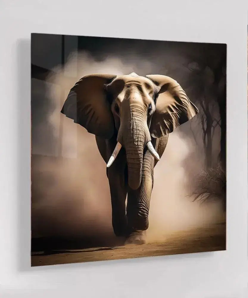 Elephant in Dust - Online Schilderij - Glas Schilderij