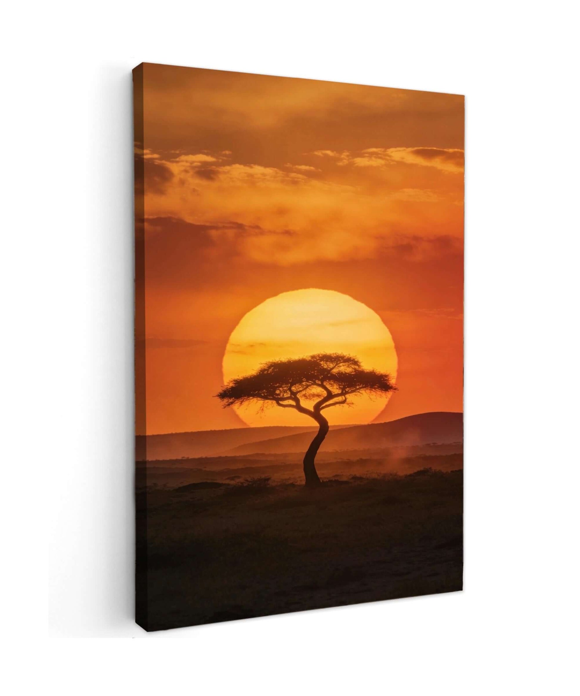 Canvas Schilderij Afrika Zonsondergang Acaciaboom Savanne