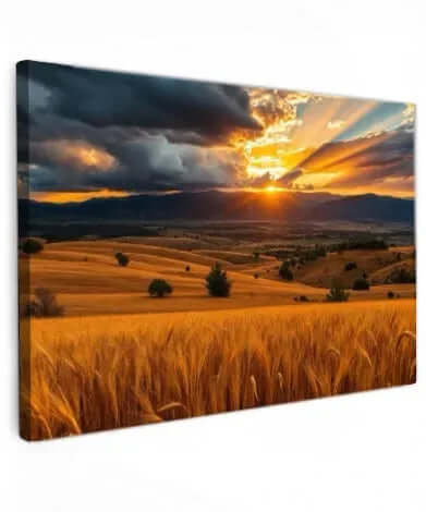 Stormy Sunset Over Wheat Fields - Online Schilderij - Canvas Schilderij