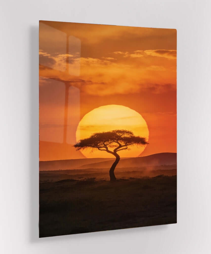 Glas Schilderij Afrika Zonsondergang Acaciaboom Savanne