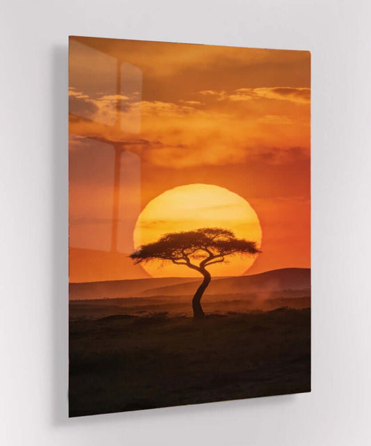 Glas Schilderij Afrika Zonsondergang Acaciaboom Savanne