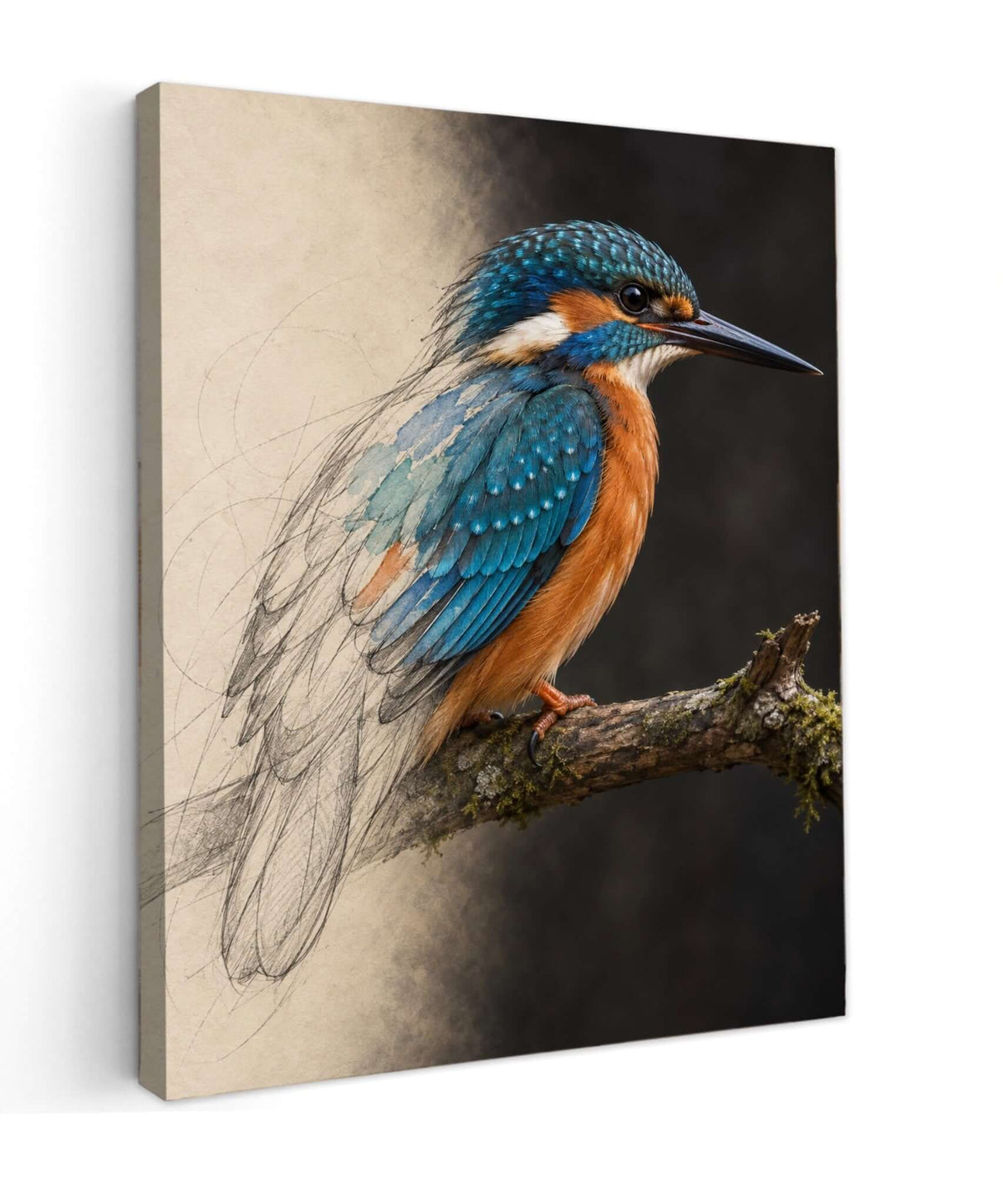 Canvas schilderij met een turquoise en oranje ijsvogel op een tak tegen een beige en zwarte achtergrond