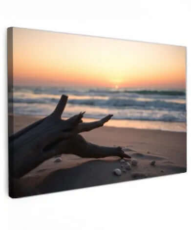 Driftwood Dusk - Online Schilderij - Canvas Schilderij