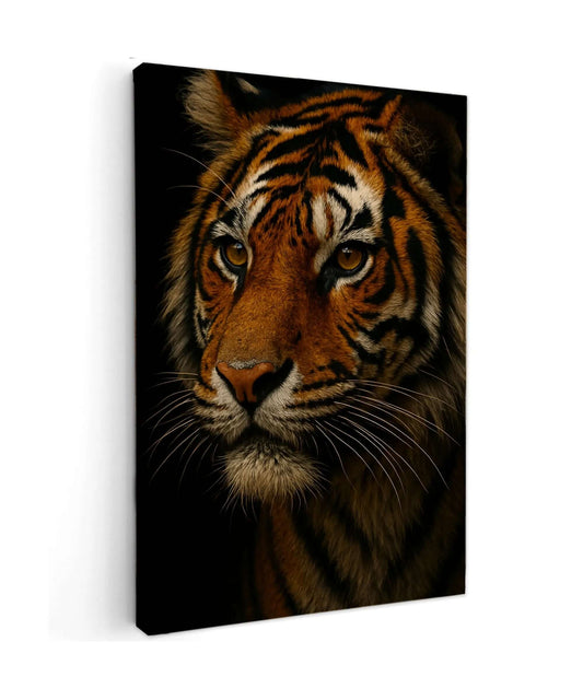 Eyes of the Tiger - Online Schilderij - Canvas Schilderij