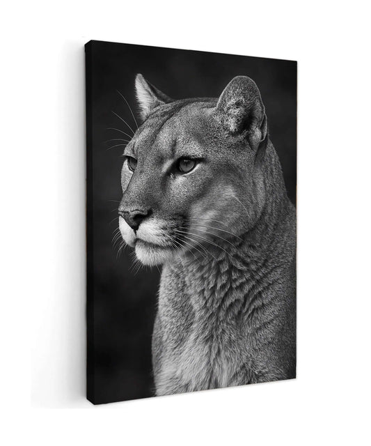 North American Predator - Online Schilderij - Canvas Schilderij