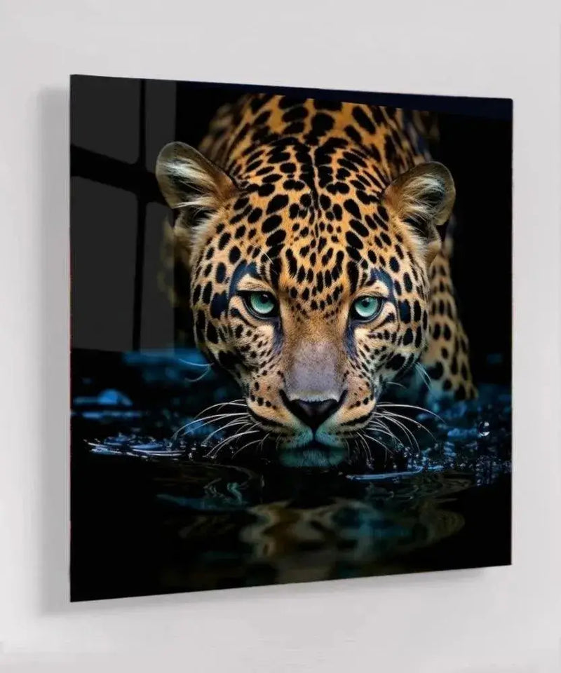 Dieren